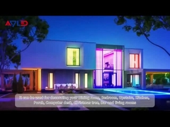 810RGB एलईडी पट्टी